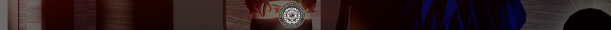 Northstar Law Enforcement